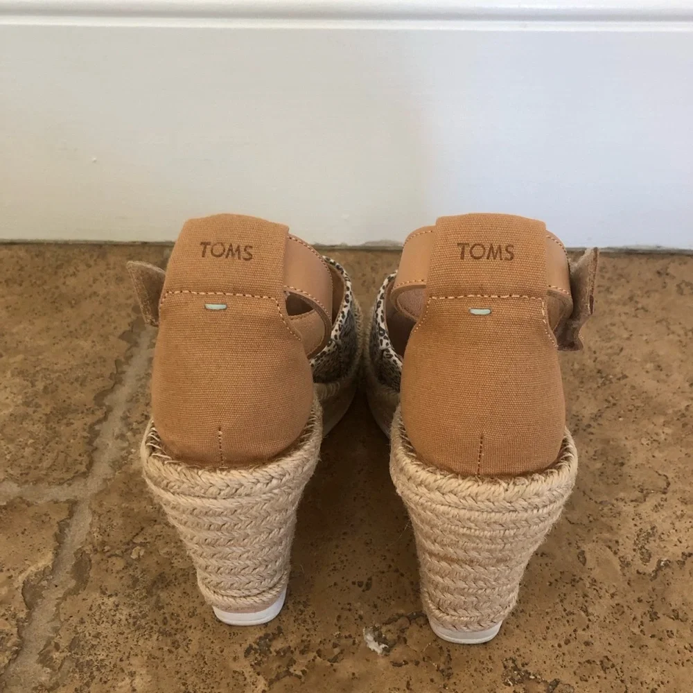 Toms from afternoon